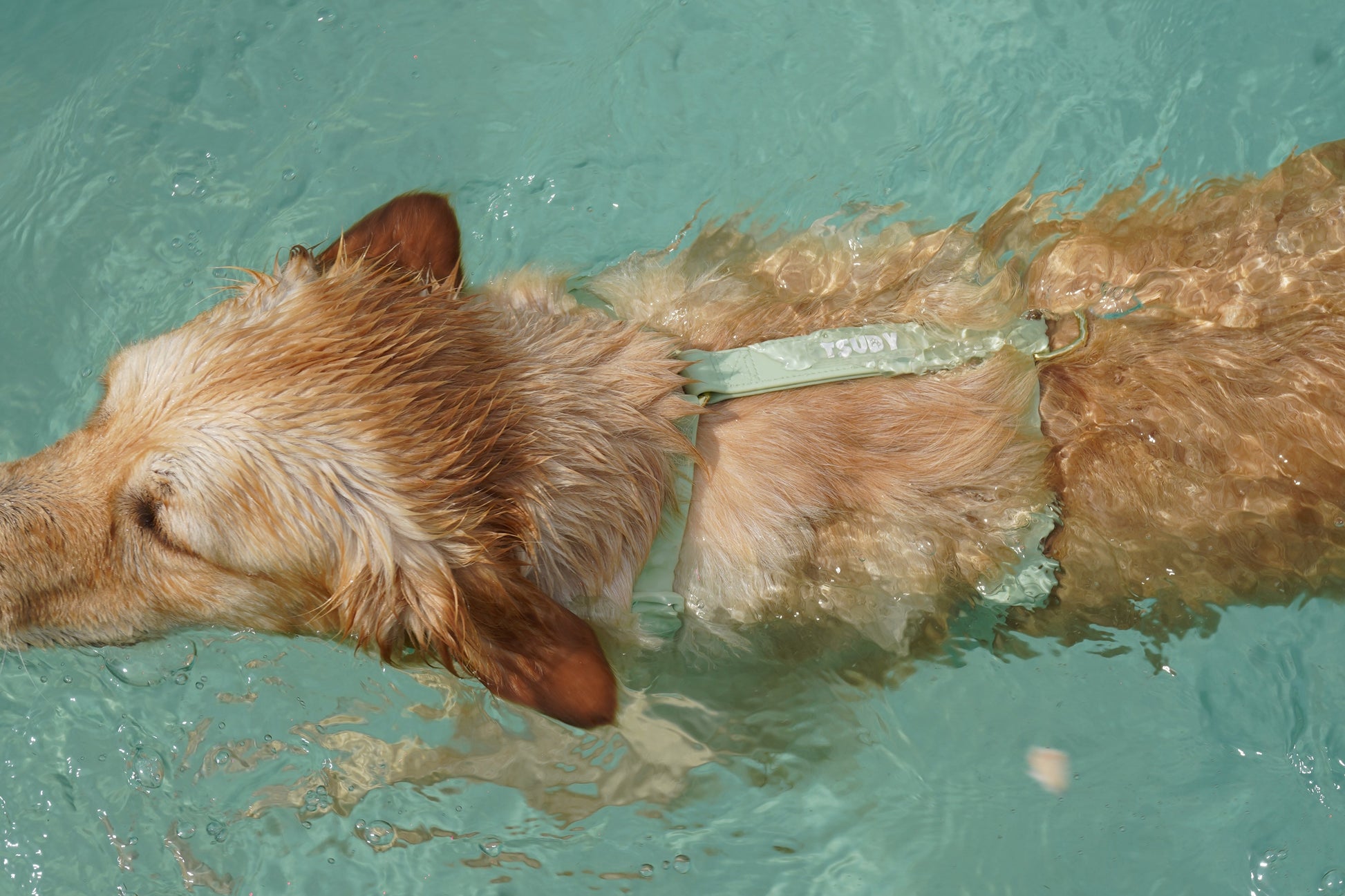 Harnais waterwoof
