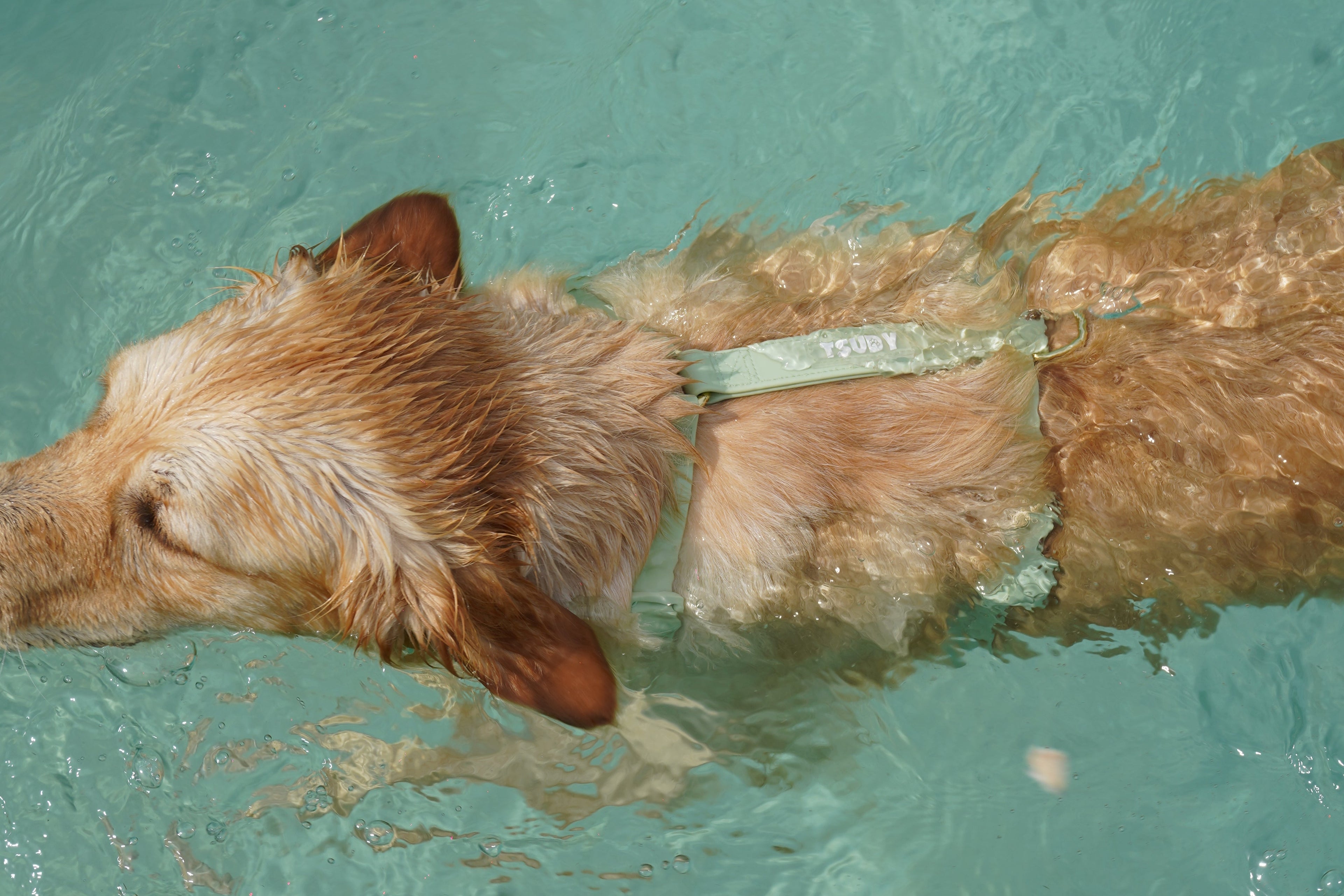 Harnais waterwoof