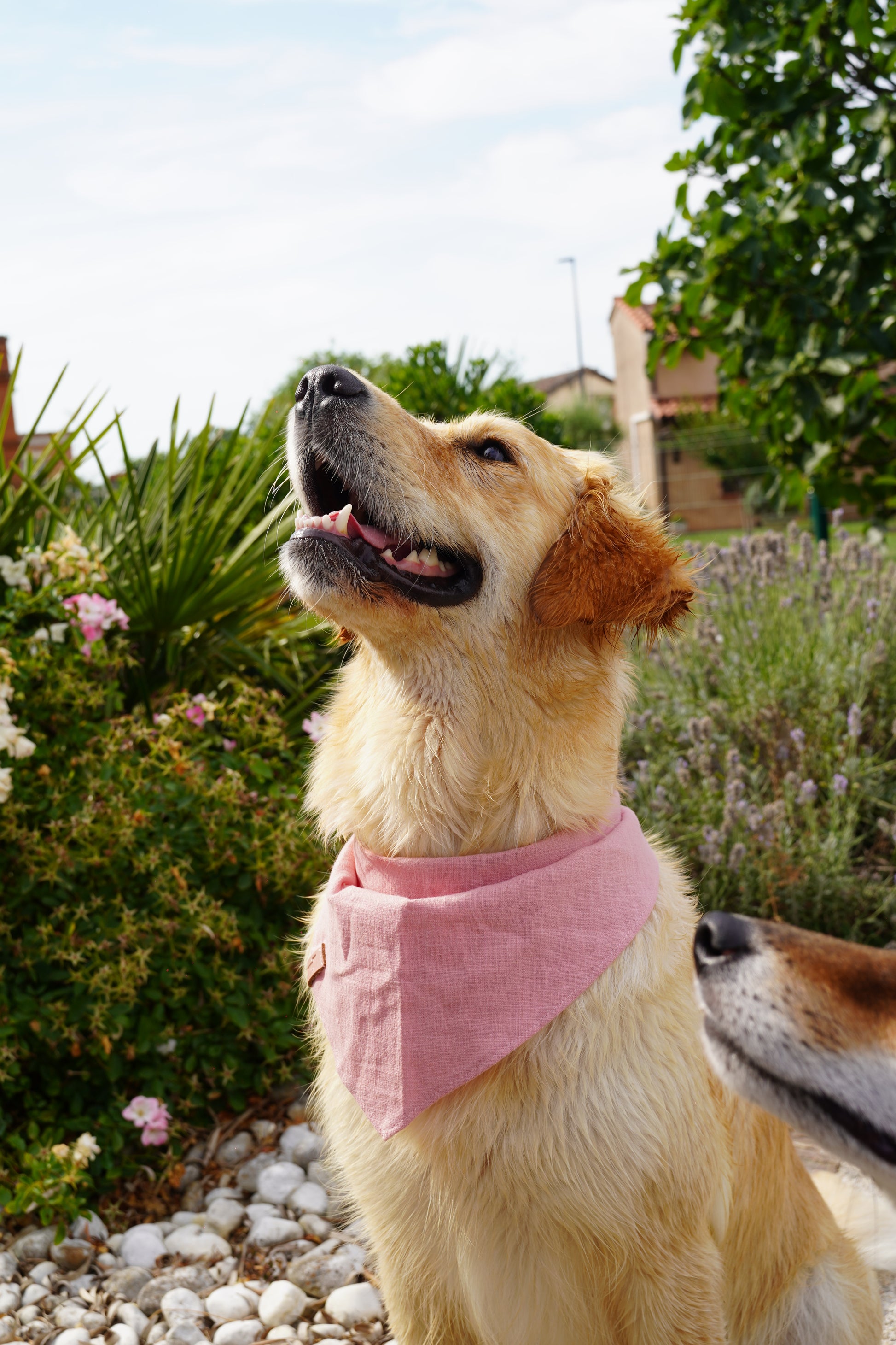 Bandana en lin