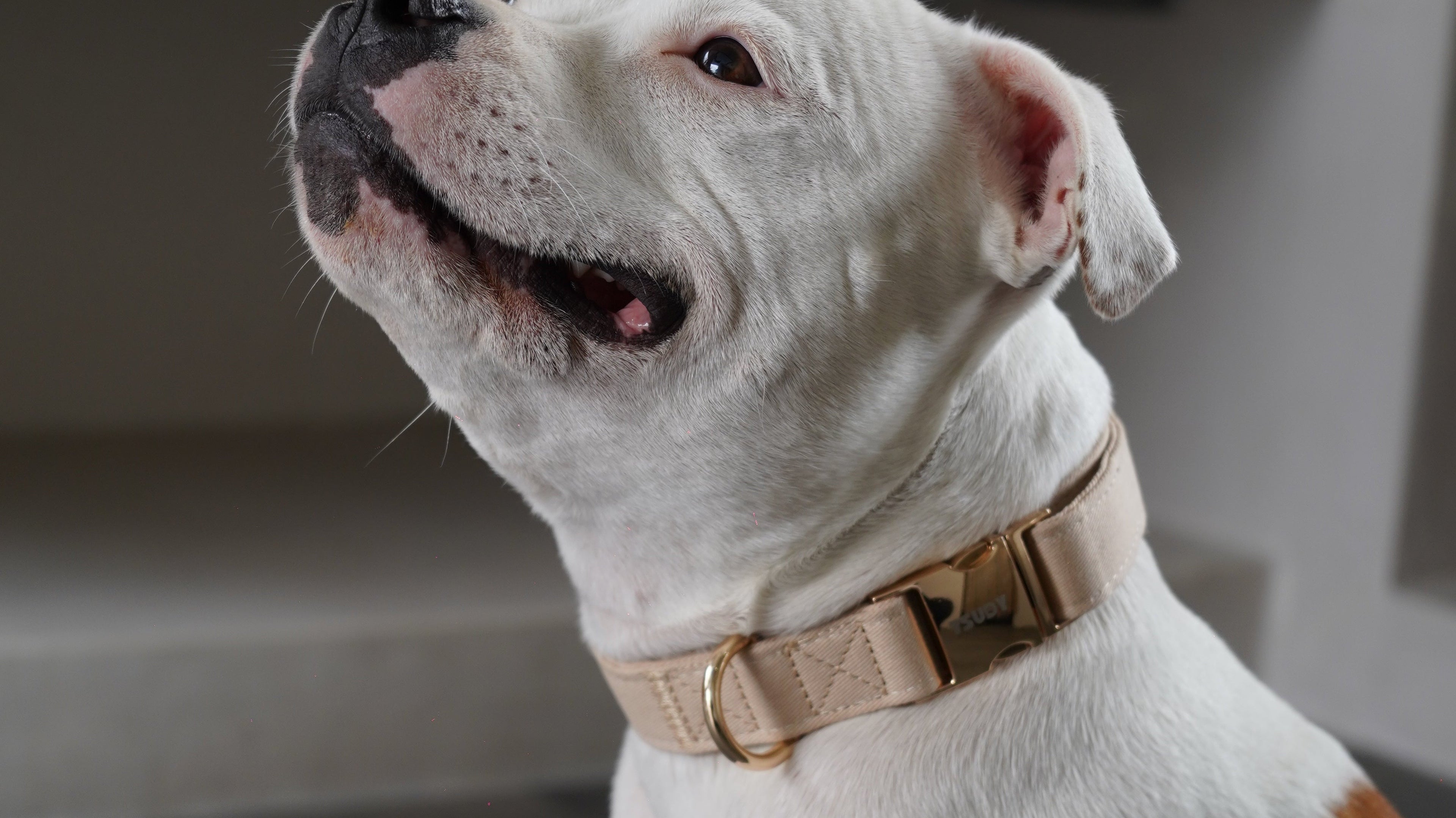 Collier en coton