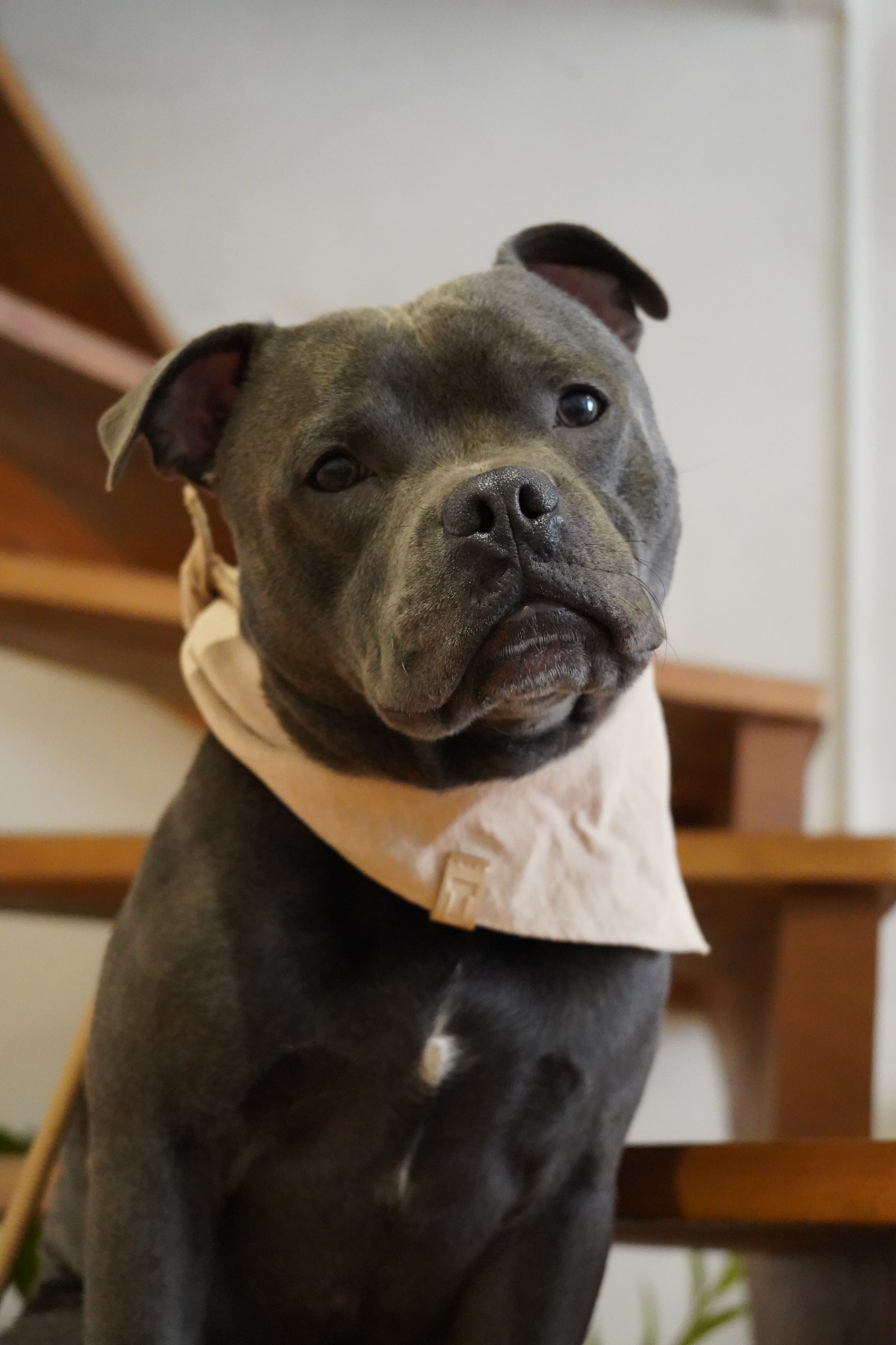Bandana en lin