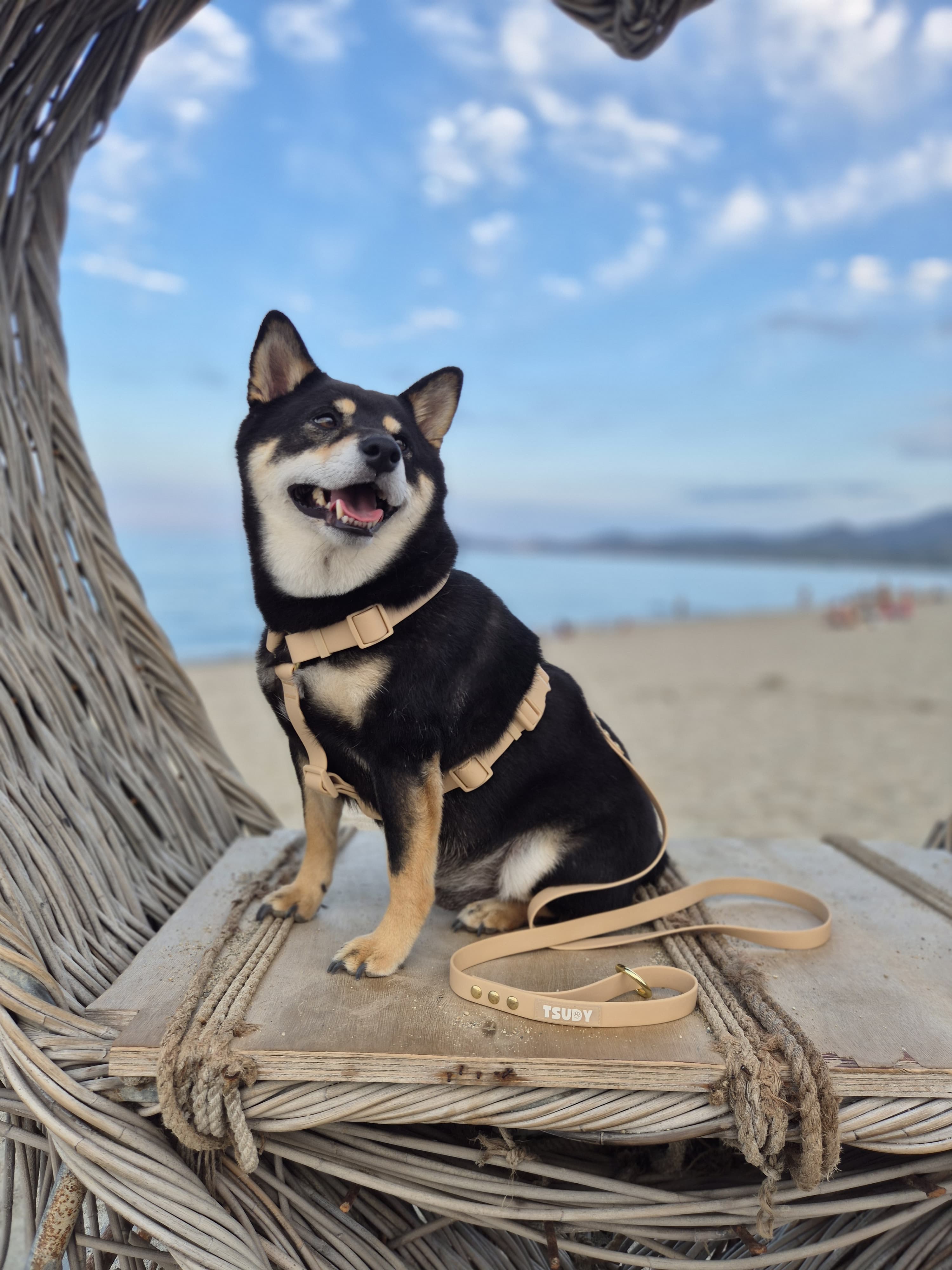 Laisse waterwoof