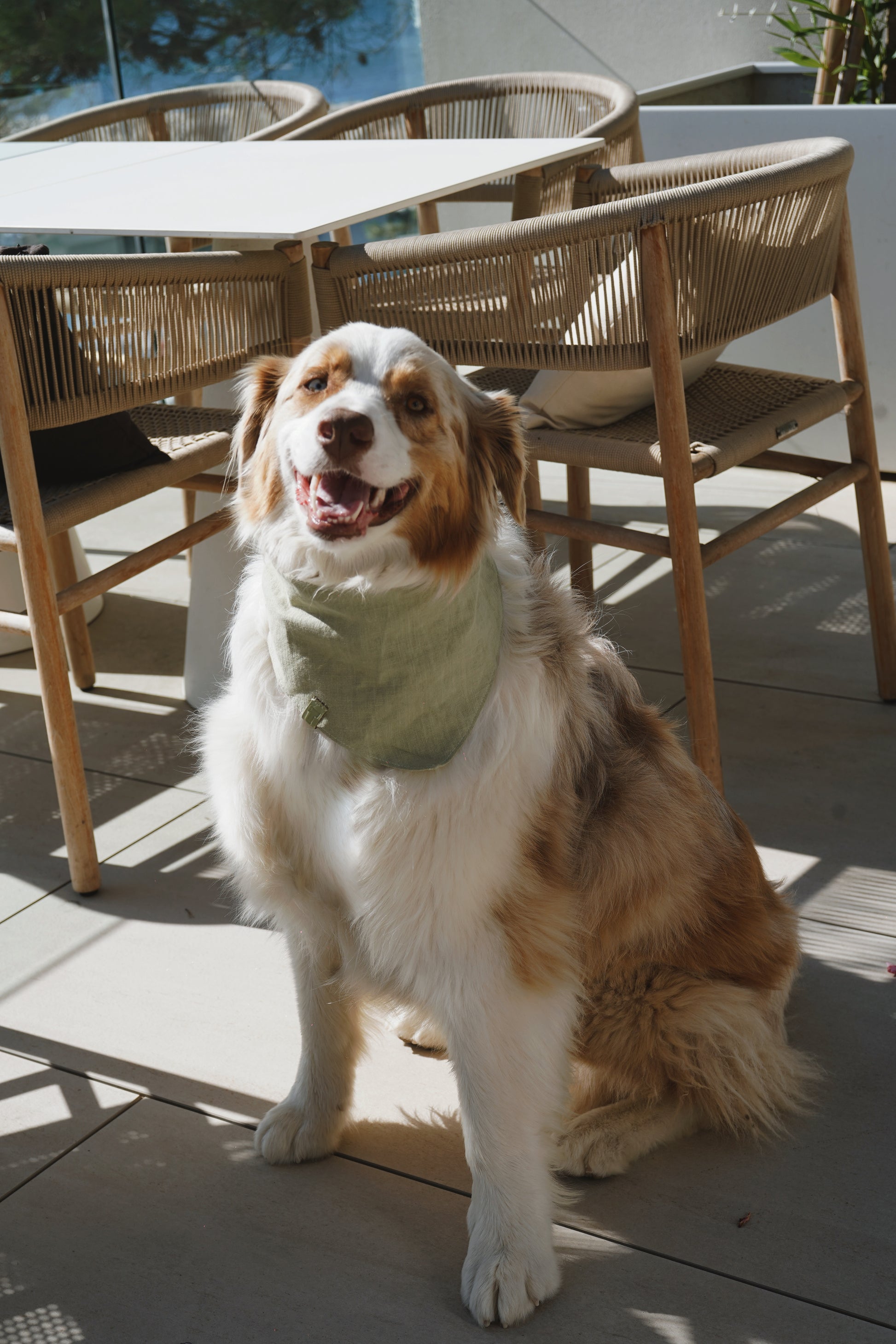 Bandana en lin